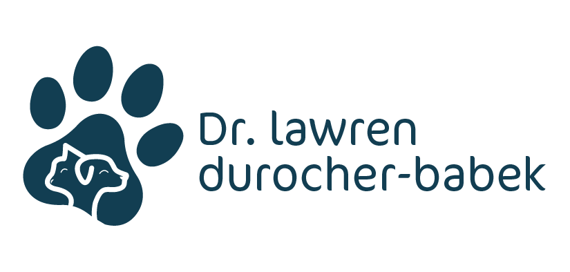 (S)Dr.L logo_clear background-03